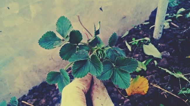 Name:  20171116_170844.jpg
Views: 642
Size:  35.7 KB