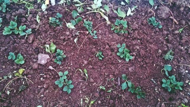 Name:  20171116_171747.jpg
Views: 659
Size:  70.7 KB