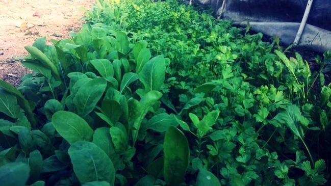 Name:  20171122_113729.jpg
Views: 559
Size:  48.7 KB