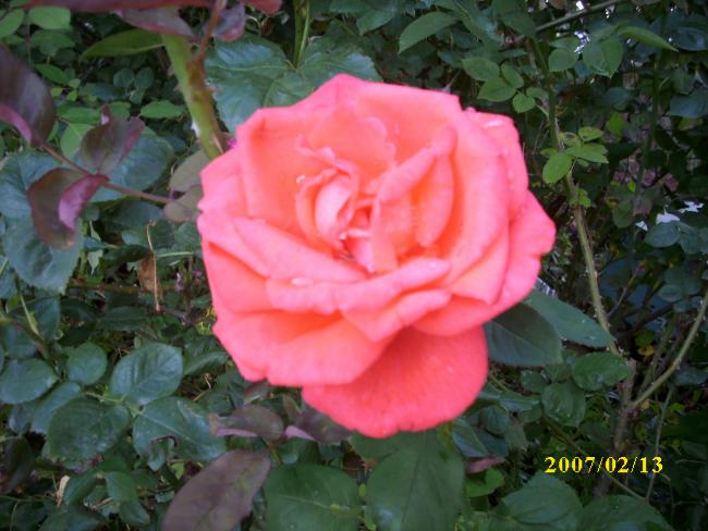 Name:  DSCI1402.jpg
Views: 260
Size:  48.4 KB