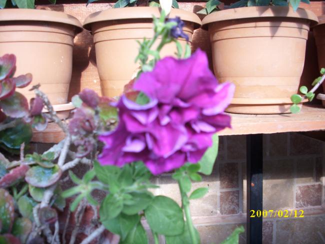 Name:  DSCI1374.jpg
Views: 290
Size:  46.8 KB