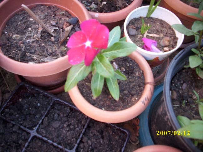 Name:  DSCI1339.jpg
Views: 852
Size:  52.5 KB