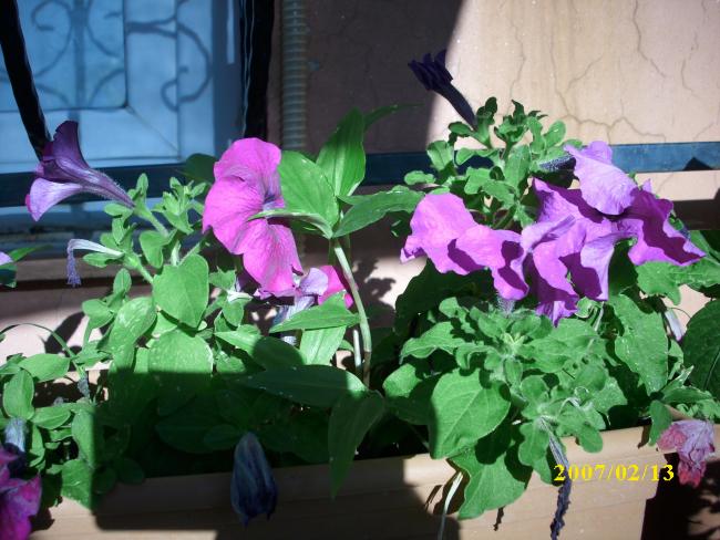 Name:  DSCI1382.jpg
Views: 859
Size:  57.9 KB
