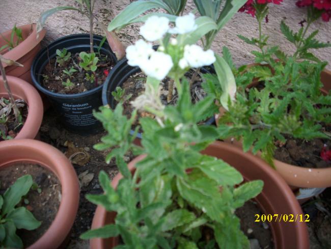 Name:  DSCI1334.jpg
Views: 794
Size:  51.8 KB