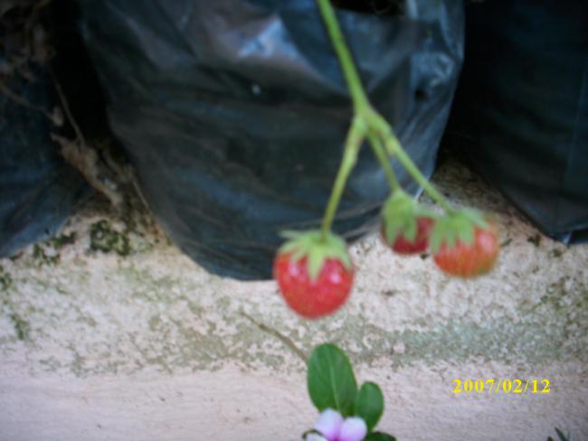 Name:  DSCI1342.jpg
Views: 816
Size:  32.1 KB