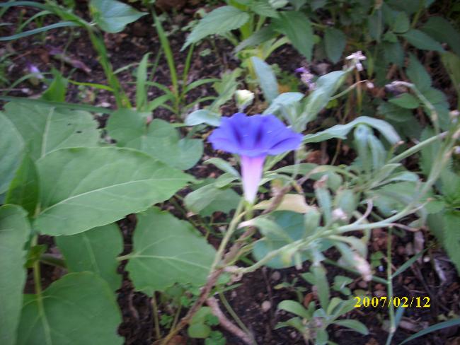 Name:  DSCI1359.jpg
Views: 784
Size:  50.6 KB