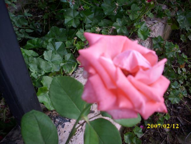 Name:  DSCI1369.jpg
Views: 773
Size:  48.7 KB