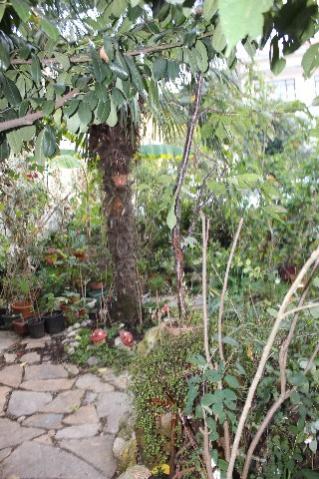 Name:  IMG_0491.jpg
Views: 490
Size:  43.5 KB