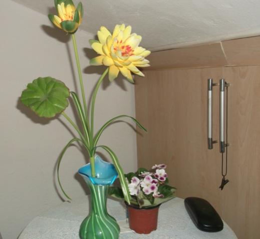 Name:  DSCF0913.jpg
Views: 591
Size:  24.5 KB