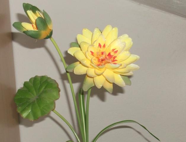 Name:  DSCF0912.jpg
Views: 584
Size:  24.7 KB