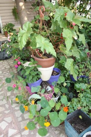 Name:  IMG_9705.jpg
Views: 490
Size:  37.8 KB