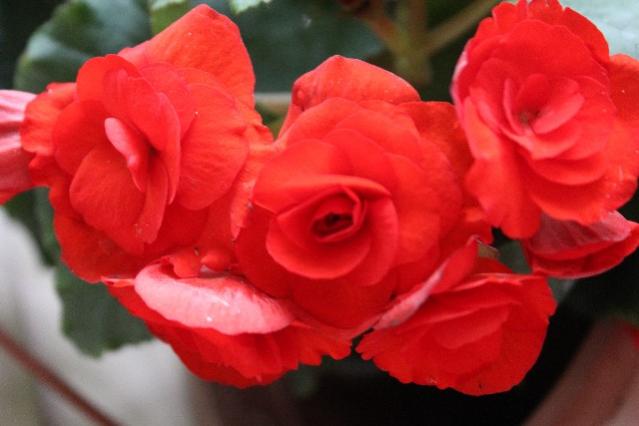 Name:  IMG_9692.jpg
Views: 478
Size:  29.7 KB