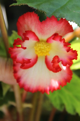 Name:  IMG_9818.jpg
Views: 480
Size:  53.7 KB
