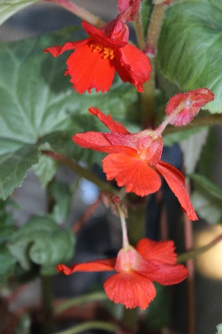 Name:  IMG_9868.jpg
Views: 454
Size:  61.2 KB