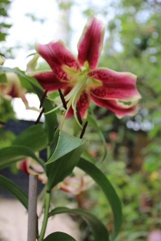 Name:  IMG_0051.jpg
Views: 406
Size:  58.8 KB