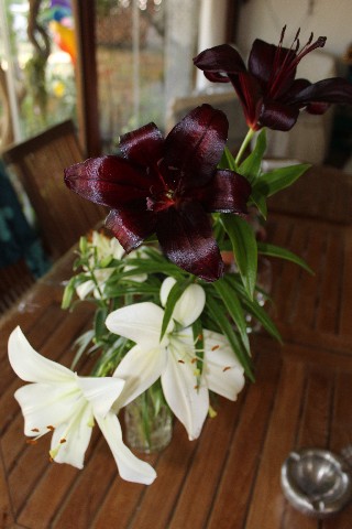 Name:  IMG_9741.jpg
Views: 390
Size:  64.6 KB