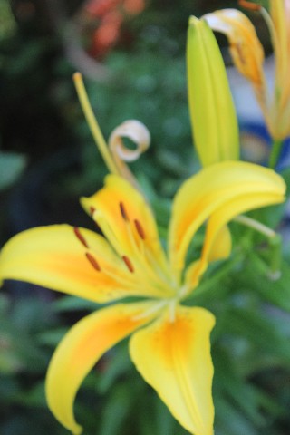 Name:  IMG_9725.jpg
Views: 396
Size:  51.7 KB