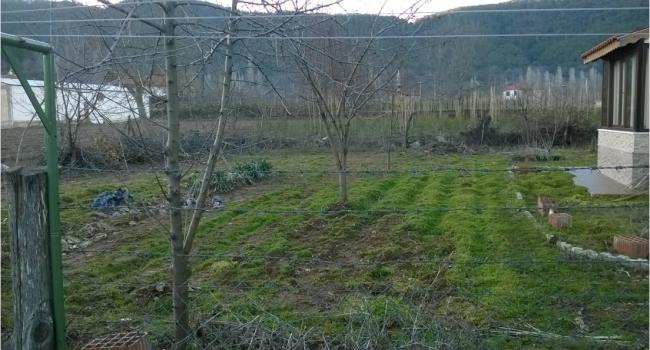 Name:  bahe 28.01.2018.jpg
Views: 605
Size:  47.2 KB