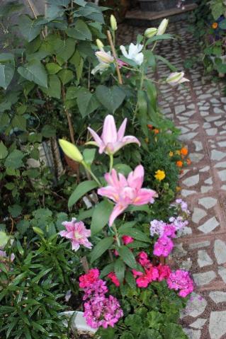 Name:  IMG_9923.jpg
Views: 399
Size:  38.2 KB
