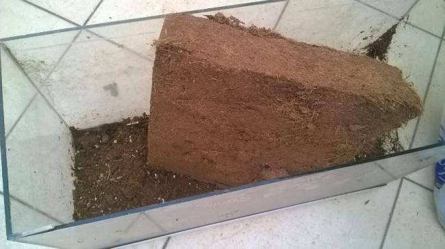 Name:  cocopeat.jpg
Views: 992
Size:  34.9 KB