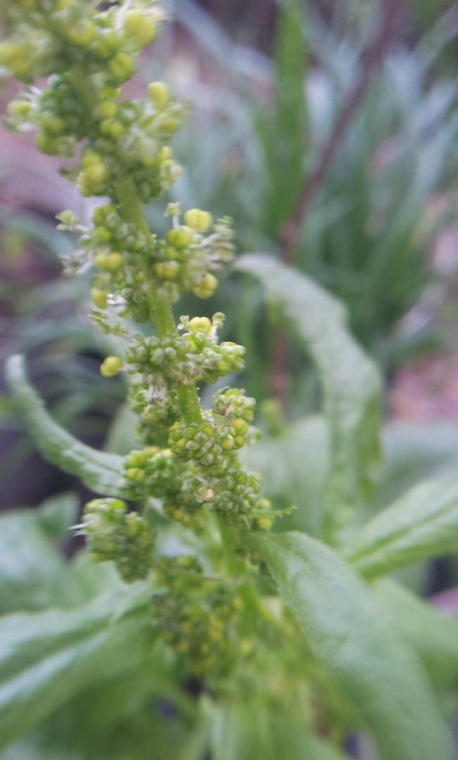 Name:  20180313_095213-min.jpg
Views: 519
Size:  56.0 KB