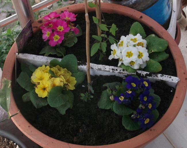 Name:  DSCF1004.jpg
Views: 363
Size:  51.3 KB