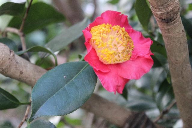 Name:  IMG_0930.jpg
Views: 319
Size:  36.2 KB