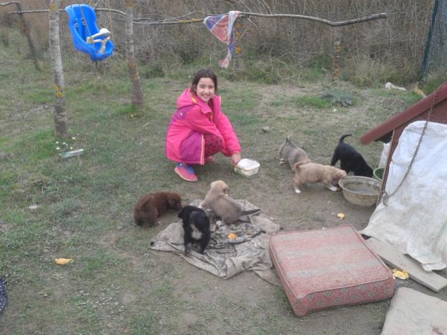 Name:  20180318_134002.jpg
Views: 786
Size:  54.7 KB