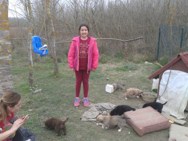 Name:  20180318_134022.jpg
Views: 797
Size:  56.3 KB