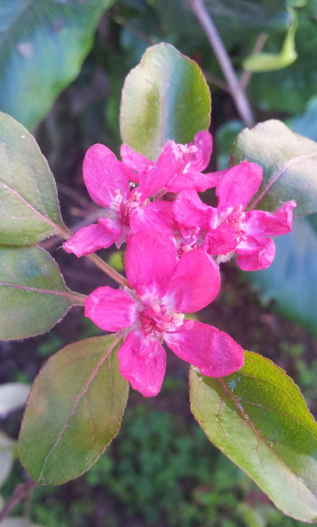 Name:  20180320_090618-min.jpg
Views: 361
Size:  71.3 KB