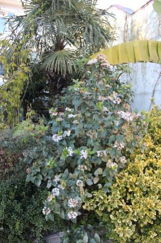 Name:  IMG_0904.jpg
Views: 222
Size:  47.4 KB
