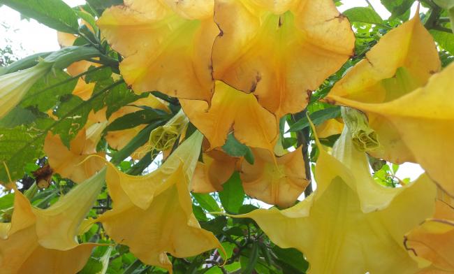 Name:  20180325_110231-min.jpg
Views: 339
Size:  39.4 KB