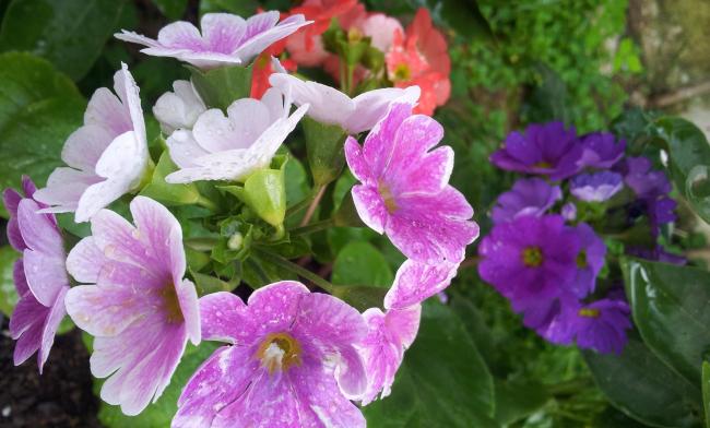 Name:  20180324_093839-min.jpg
Views: 344
Size:  44.0 KB
