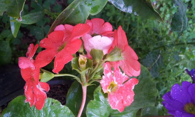 Name:  20180324_093844-min.jpg
Views: 325
Size:  43.6 KB