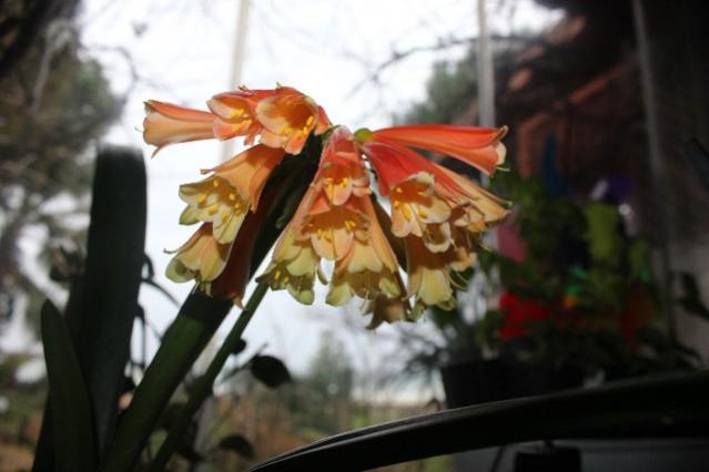 Name:  IMG_1104.jpg
Views: 443
Size:  31.0 KB