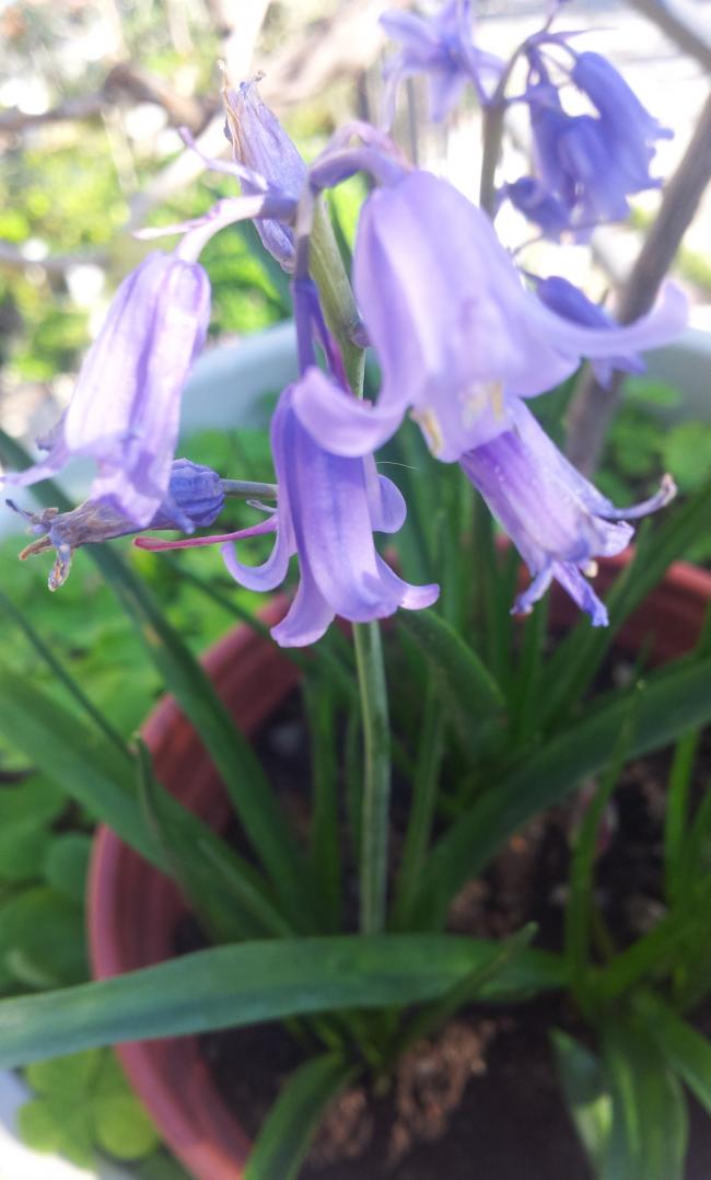 Name:  20180330_095618-min.jpg
Views: 520
Size:  62.5 KB