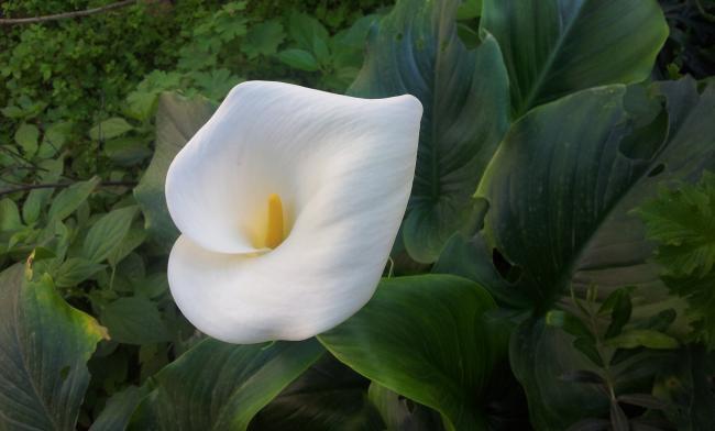 Name:  20180330_095450-min.jpg
Views: 520
Size:  28.4 KB