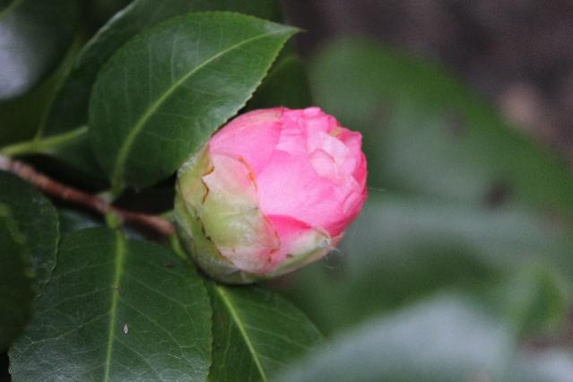 Name:  IMG_1125.jpg
Views: 422
Size:  24.6 KB