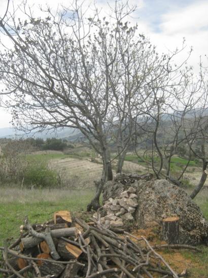 Name:  yeni b..jpg
Views: 679
Size:  53.7 KB