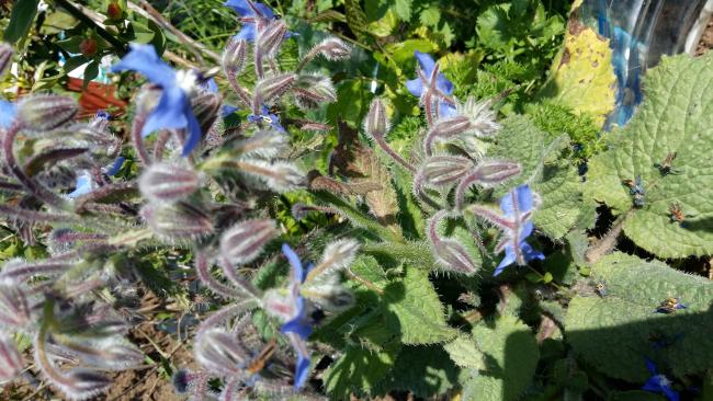 Name:  20180408_123426.jpg
Views: 317
Size:  63.7 KB