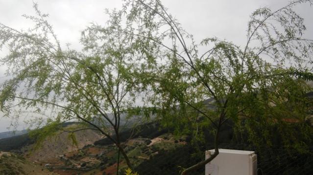 Name:  412.jpg
Views: 409
Size:  47.5 KB