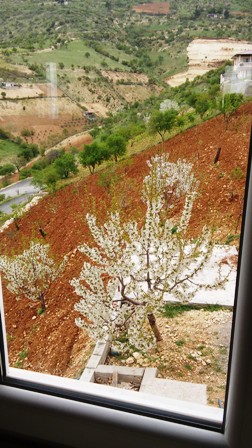 Name:  465.jpg
Views: 400
Size:  55.5 KB
