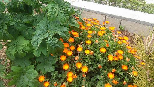 Name:  490.jpg
Views: 385
Size:  64.9 KB