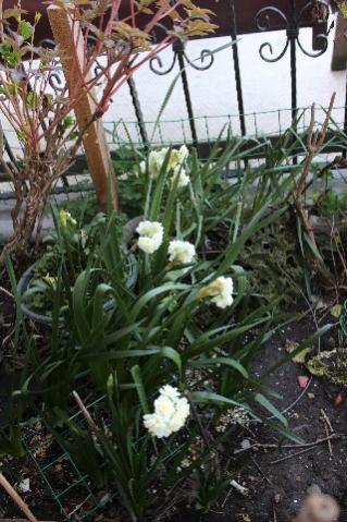Name:  IMG_1196.jpg
Views: 249
Size:  39.8 KB