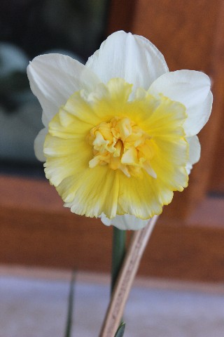 Name:  IMG_1199.jpg
Views: 246
Size:  47.2 KB