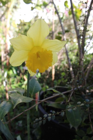 Name:  IMG_1246.jpg
Views: 243
Size:  64.5 KB