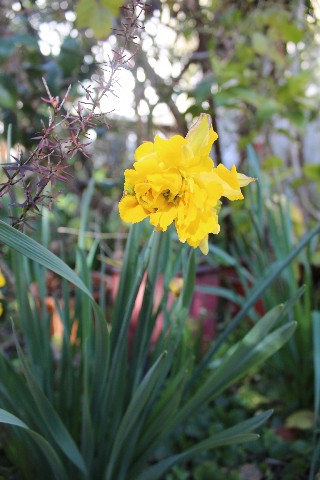 Name:  IMG_1248.jpg
Views: 241
Size:  69.7 KB