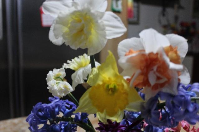 Name:  IMG_1366.jpg
Views: 239
Size:  31.8 KB