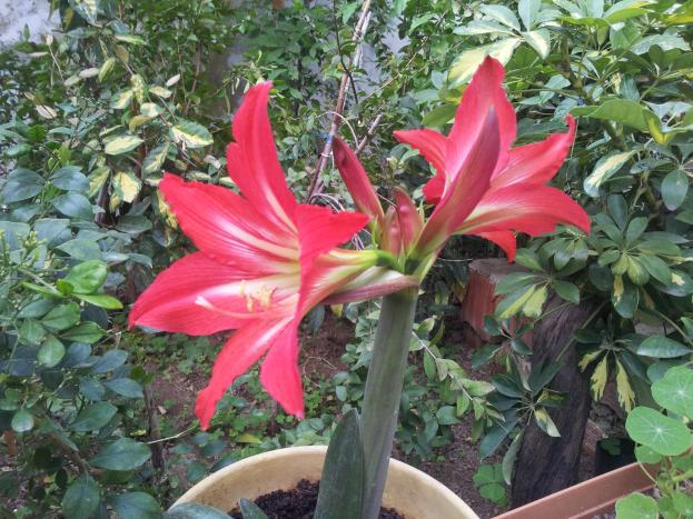 Name:  20180416_084630-min.jpg
Views: 471
Size:  70.8 KB