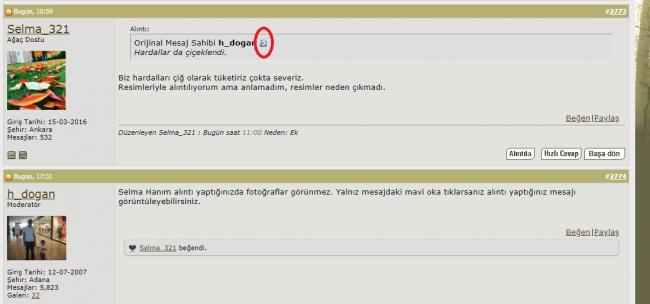 Name:  si.jpg
Views: 465
Size:  25.2 KB